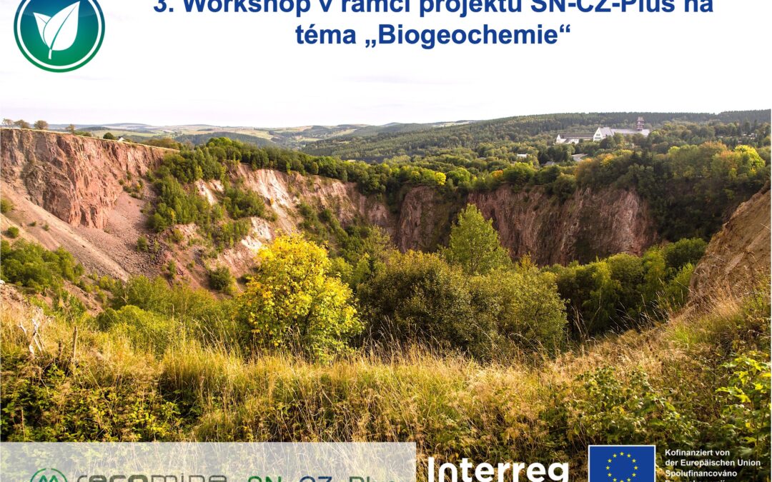 3. Workshop recomine SN-CZ-Plus