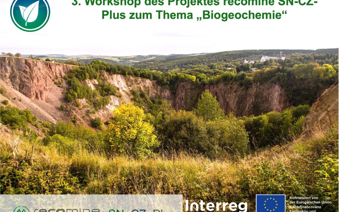 3. Workshop recomine SN-CZ-Plus